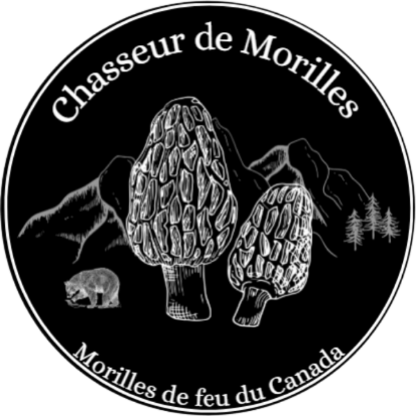 Chasseur de Morilles